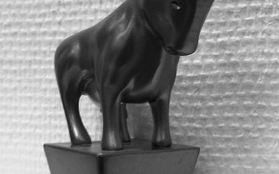 Die Ausbreitung des Coronavirus und seine Auswirkungen